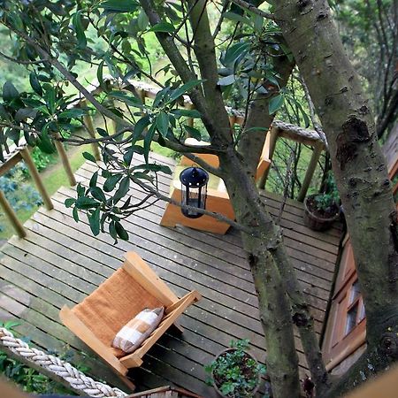 Villa La Casa Del Árbol De Chiloé à Castro Extérieur photo