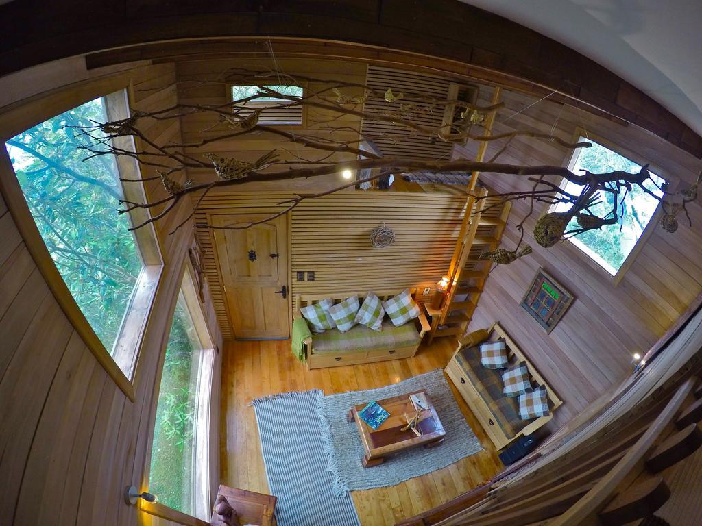 Villa La Casa Del Árbol De Chiloé à Castro Extérieur photo