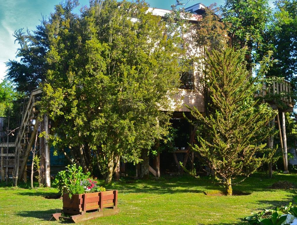 Villa La Casa Del Árbol De Chiloé à Castro Extérieur photo