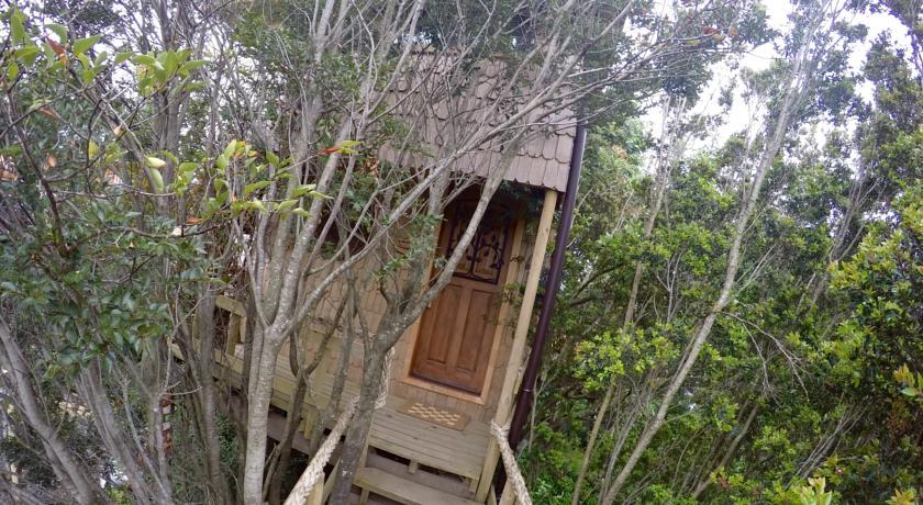 Villa La Casa Del Árbol De Chiloé à Castro Chambre photo